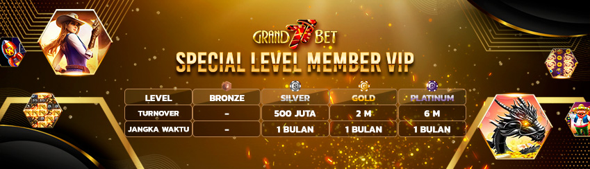 SPECIAL LEVEL MEMBER VIP