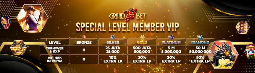 SPECIAL LEVEL MEMBER VIP